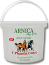 Arnica-99%-Uso-Equino-3KG-Cavalli-Formato-Grande-Made-in-Italy-Extra-Forte-Rapida-Azione