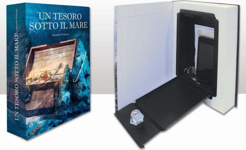 ARREGUI---BOOK-CASSETTA-PER-CONTANTI-IMITAZIONE-LIBRO-152x222x43-MM