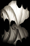 Artemide Mendori lampada da tavolo