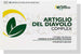 Albio Sicily Artiglio Del Diavolo Complex Con Boswellia, Uncaria, Astragalo Coadiuva Le Funzionalità Articolare
