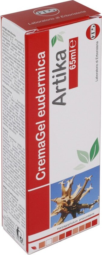 ARTIKA-Crema-Gel-65-ml-Kos
