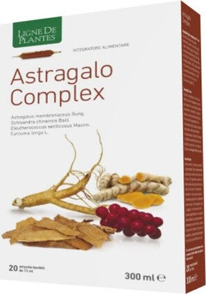 ASTRAGALO-COMPLEX-integratore-alimentare-20-ampolle-da-15-ml-Natura-Service
