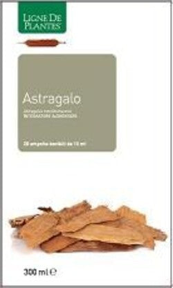 ASTRAGALO-integratore-alimentare-20-ampolle-da-15-ml-Natura-Service