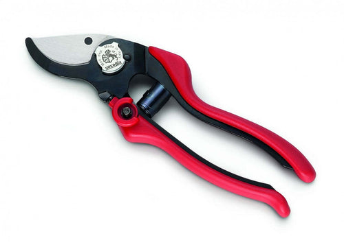 AUSONIA- 31082 FORBICE DA VIGNA PROFESSIONALE MADE IN ITALY CON LAMA DI QUALITA', MANICO INTERCAMBIABILE IN PLASTICA E BLOCCO DI CHIUSURA