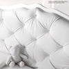 Azzurra Design Rinascimento Chester Lettino + Fasciatoio Bagnetto Vaschetta Anatomica + Completo Lettino Piumone + Velo Con Asta + Matarasso In Omaggio Casa e cucina/Arredamento/Cameretta bambini/Lettini per neonati e bambini/Lettini con sbarre Mondo Bimbo - Bagnara Calabra, Commerciovirtuoso.it