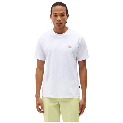 Dickies t-shirt bianca MAPLETON DK0A4XDBWHX1