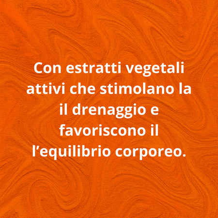 Bio Slim & Dren 400ml – Elisir Drenante ai Tre Estratti – Formula Vegetale Concentrata per Leggerezza e Detox – Senza Glutine