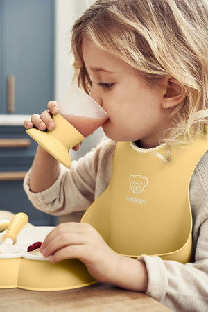 Box Regalo Pappa BabyBjorn