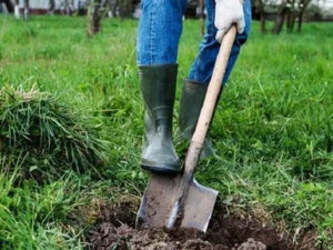 Badile a punta per giardino con manico a D in fibra di resina Fai da te/Utensili elettrici e a mano/Attrezzi da giardinaggio/Vanghe e pale La Zappa - Altamura, Commerciovirtuoso.it