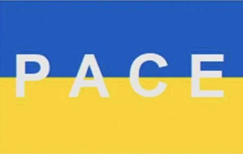 Bandiera Della Pace 70x100cm Ucraina Con Asola Laterale Da Bastone In Tessuto Casa, arredamento e bricolage > Prodotti per Feste Trade Shop italia - Napoli, Commerciovirtuoso.it