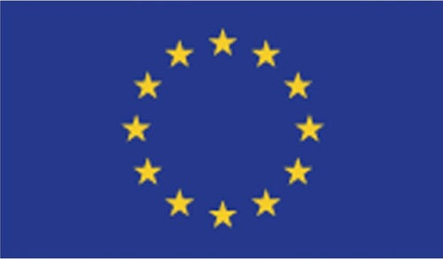 Bandiera Europa - poliestere nautico - 100x150 cm Fai da te/Sicurezza e protezione/Attrezzature per sicurezza sul lavoro/Segnaletica antinfortunistica Eurocartuccia - Pavullo, Commerciovirtuoso.it