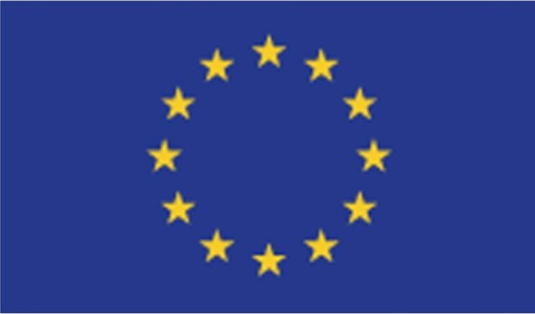 Bandiera Europa - poliestere nautico - 100x150 cm Fai da te/Sicurezza e protezione/Attrezzature per sicurezza sul lavoro/Segnaletica antinfortunistica Eurocartuccia - Pavullo, Commerciovirtuoso.it