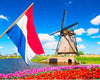 Bandiera Olandese Bandiera Olanda Paesi Bassi Tessuto Da Esterno Resistente Alle Intemperie Doppie Cuciture Corda Per Fissaggio Netherland Flag Giardino Decorazioni Sport e tempo libero/Fan Shop/Patio prato e giardino/Bandiere per esterno Il Distintivo - Pesaro, Commerciovirtuoso.it