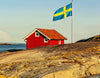 Bandiera Svedese Tessuto Da Esterno Resistente Alle Intemperie Con Doppie Cuciture Bandiera Svezia Swedish Flag Giardino Decorazioni Sport e tempo libero/Fan Shop/Patio prato e giardino/Bandiere per esterno Il Distintivo - Pesaro, Commerciovirtuoso.it