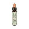 CERATO N° 5 Fiore di Bach - Ainsworths 10 ml