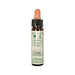 CERATO N° 5 Fiore di Bach - Ainsworths 10 ml