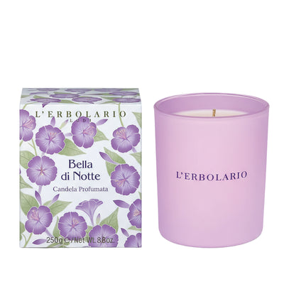 Candela Profumata Bella di Notte