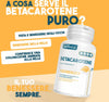 Betacarotene Nutracle 80 Perle Da 438 Mg | Integratore Per Abbronzatura Forte | Sostegno Per La Vista Alta Concentrazione Di Pro Vitamina A Salute e cura della persona/Vitamine minerali e integratori/Antiossidanti/Beta carotene MyLab Nutrition - Roma, Commerciovirtuoso.it