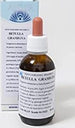 Betulla-Gramigna-integratore-alimentare-a-base-di-piante-e-derivati-50-ml---aether