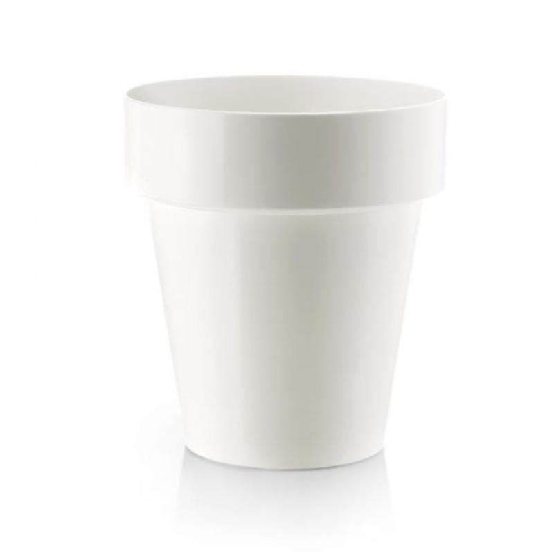 Vaso trasparente orchidea al miglior prezzo | Leroy Merlin