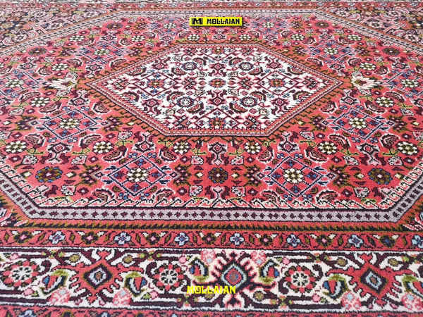 Bidjar-fine-Persia-146x88