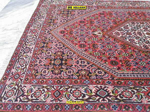 Bidjar-fine-Persia-146x88