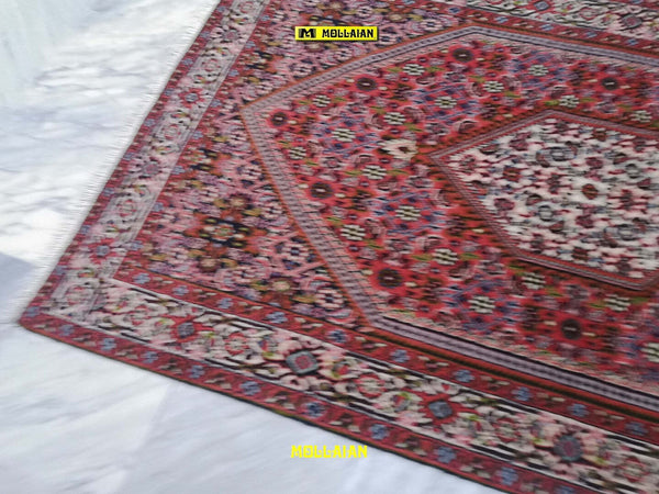 Bidjar-fine-Persia-146x88