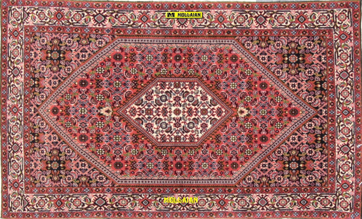 Bidjar-fine-Persia-146x88