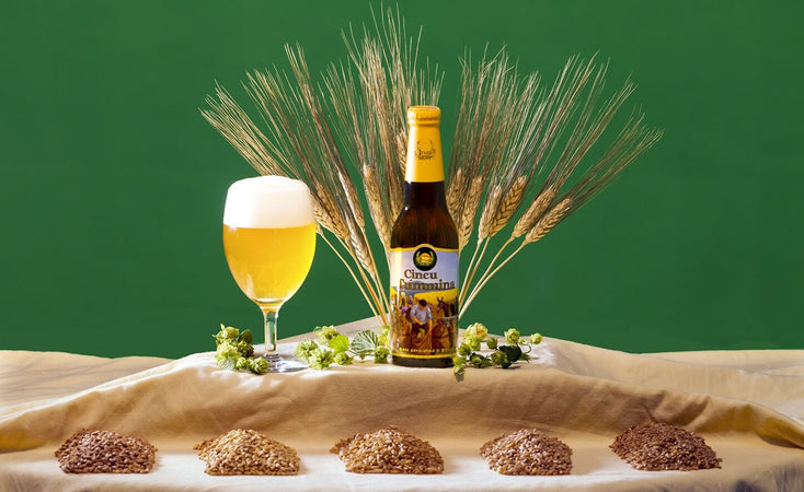 Birra-Cincu-Tummina-Birrificio-Irias