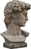 Biscottini-Busto-di-David-in-Pietra,-L43XPR35xH64-cm