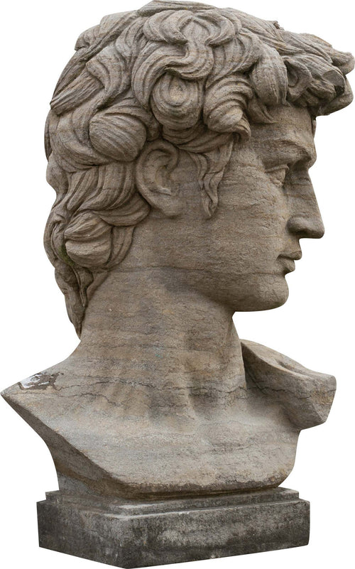 Biscottini-Busto-di-David-in-Pietra,-L43XPR35xH64-cm
