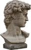 Biscottini-Busto-di-David-in-Pietra,-L43XPR35xH64-cm