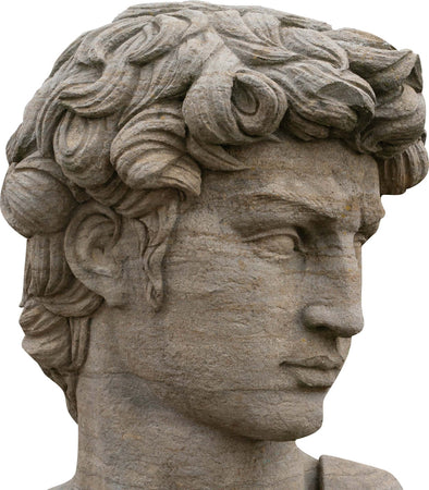 Biscottini-Busto-di-David-in-Pietra,-L43XPR35xH64-cm