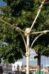 Biscottini-Gazebo-in-ferro-L300XPR300XH320-CM