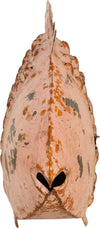 Biscottini-Pesce-porta-candela-in-ferro-dipinto-a-mano