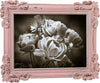 Biscottini-Portafoto-da-appoggio-verticale/orizzontale-in-resina-finitura-rosa-anticata-L20xPR2,5xH25-cm