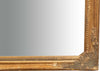 Biscottini-Specchio-Specchiera-da-parete-e-appendere-verticale/orizzontale-L60xPR4xH90-cm-finitura-foglia-oro-anticato