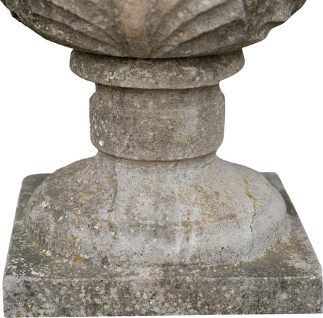 Biscottini-Vecchia-pigna-in-pietra