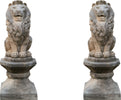 Biscottini-Vecchia-statua-raffigurante-una-coppia-di-leoni-in-pietra