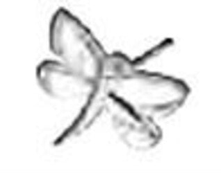 Product Image-0