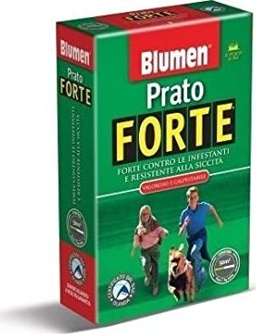 BLUMEN---SCATOLA-DA-500g---PRATO-FORTE---VIGOROSO-E-CALPESTABILE