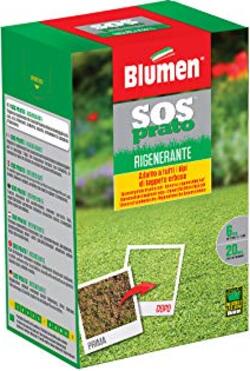 Blumen-Prato-Forte-RIGENERANTE,-Verde