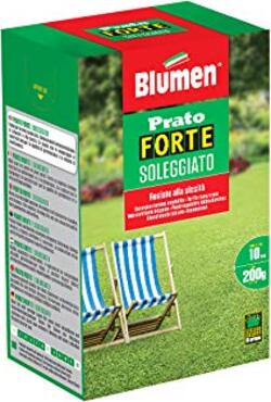 Blumen-Prato-Forte-Soleggiato,-Verde