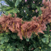 Boa Marrone con Piume decorazione natalizia per Albero moderno 200 cm Casa e cucina/Decorazioni per interni/Addobbi e decorazioni per ricorrenze/Decorazioni natalizie/Ghirlande e corone MagiediNatale.it - Altamura, Commerciovirtuoso.it