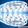 Bobina Striscia 300 Led 5630 Impermeabile 5 Metri 12v Luce Bianco Freddo Caldo Illuminazione/Strisce LED Trade Shop italia - Napoli, Commerciovirtuoso.it