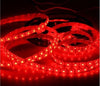 Bobina Striscia Strip Led 5050 Flessibile 5mt Adesiva Luce Interno Esterno Ip65 Illuminazione/Strisce LED Trade Shop italia - Napoli, Commerciovirtuoso.it