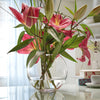 Boccia per pesci in vetro trasparente, recipiente a forma di sfera per piante da 30 cm Casa e cucina/Decorazioni per interni/Accessori decorativi/Soprammobili Decor Space - Altamura, Commerciovirtuoso.it