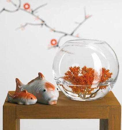 Boccia per pesci in vetro trasparente, recipiente a forma di sfera per piante da 30 cm Casa e cucina/Decorazioni per interni/Accessori decorativi/Soprammobili Decor Space - Altamura, Commerciovirtuoso.it