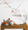 Boccia per pesci in vetro trasparente, recipiente a forma di sfera per piante da 30 cm Casa e cucina/Decorazioni per interni/Accessori decorativi/Soprammobili Decor Space - Altamura, Commerciovirtuoso.it