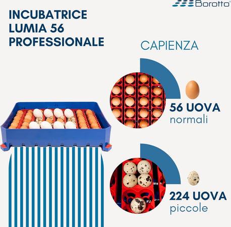 Borotto-LUMIA-56-Automatica---Incubatrice-per-Uova-Professionale-Brevettata,-con-Girauova-Automatico---per-56-Uova-Medio/Grandi